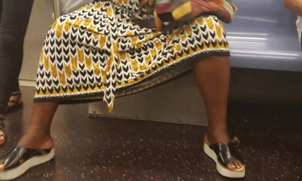 Facetas multicolores de viajar en tren en NY
